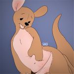  breasts disney kanga kangaroo living_plush mammal marsupial plushie simple_background winnie_the_pooh_(franchise) 