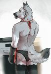  2018 5_fingers anthro apron arm_warmers armwear brown_eyes canine clothed clothing cooking crossdressing elbow_tufts fur garter garter_belt garter_straps grey_fur holding_object legwear looking_at_viewer looking_back male mammal marjani multicolored_fur panties simple_background smile solo standing stockings topless tuft underwear white_background white_fur wolf 