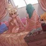  :3 absurdres animal_ears blanket blonde_hair blush bottle breasts brown_eyes cat_ears cellphone commentary condom_wrapper curtains day eyebrows_visible_through_hair food green_hair highres humboldt_penguin_(kemono_friends) indoors japari_bun kemono_friends long_hair looking_at_viewer multiple_girls no_nipples nude phone pillow plate poster_(object) sand_cat_(kemono_friends) serval_(kemono_friends) short_hair sitting small_breasts smartphone sunlight takoongyi tatsuki_(irodori)_(style) tsuchinoko_(kemono_friends) under_covers window yuri 