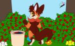  2018 absurd_res anthro berries_bush butt chinchilla cub digital_media_(artwork) flower hi_res hybrid male mammal minky_(character) plant red_panda rodent romeothefox_(artist) slightly_chubby solo thick_thighs young 