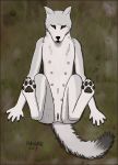  2018 anthro ballisticblue canine canis_peritissimus digital_media_(artwork) female fur looking_at_viewer lying mammal nipples nude on_back open_mouth pawpads paws pinup pose presenting pussy solo spread_legs spreading tiahk tongue white_fur wolf 