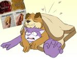  &lt;3 ambiguous_penetration bread canine cat dog feline female food fur grape_jelly_(housepets!) housepets! male mammal meme multicolored_fur nervous ouwcean peanut_butter_(housepets!) penetration purple_fur sandwich_(food) smile two_tone_fur 
