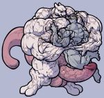  colored furry_(artist) hyper hyper_muscles legendary_pok&eacute;mon machoke male male/male mewtwo muscular nintendo penis pok&eacute;mon pok&eacute;mon_(species) size_difference vein video_games 