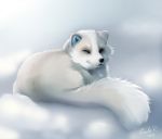  2018 arctic_fox black_nose canine digital_media_(artwork) eyes_closed feral fox fur mammal smile solo taykoe white_fur 
