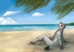  animal_genitalia beach blue_eyes canine cassiebutter fully_sheathed fur grey_fur hi_res looking_at_viewer looking_back male mammal nude open_mouth sea seaside sheath sitting solo water wolf 