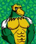  2017 abs animal_crossing anthro avian beak big_muscles biped bird black_feathers black_markings blue_eyes clothed clothing digital_drawing_(artwork) digital_media_(artwork) elbow_tufts eye_markings eyebrows feather_tuft feathers frank_(animal_crossing) front_view green_background green_feathers green_theme half-length_portrait hatching_(technique) head_tuft looking_away male markings multicolored_feathers muscular muscular_male nintendo nipples open_clothing open_shirt pattern_background pecs pink_nipples portrait simple_background smile solo standing stevedraws tuft video_games yellow_beak yellow_feathers yellow_markings 