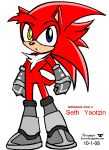  2008 chest_tuft clothing fan_character footwear gloves hedgehog heterochromia male mammal shoes solo sonic_(series) terrenslks tuft 