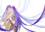  fate/grand_order fate_(series) meltlilith_(fate) passionlip ritsuki 