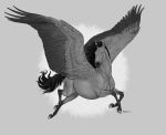  2016 anisis black_hair equine feathered_wings feathers feral grey_feathers greyscale hair hooves mammal monochrome pegasus smile solo wings 
