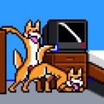  ambiguous_penetration animal_genitalia animal_penis animated anthro canine canine_penis digital_media_(artwork) dog duo dynablade_savior erection fur furniture gamecube inside knot male mammal nintendo nude open_mouth penetration penis sex shiba_inu television tongue video_games 