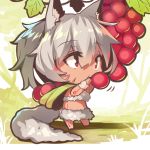  animal_ears arm_tattoo bangs berries chibi closed_mouth dark_skin day eyebrows_visible_through_hair fox_ears fox_girl fox_tail fur fur_bikini hair_between_eyes hands_up holding leaf long_hair original outdoors red_eyes silver_hair solo standing tail tattoo yuuji_(yukimimi) 