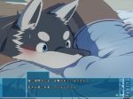  anthro bed between_legs black_fur blue_eyes blush brown_fur bulge canine clothed clothing crotch_sniffing digital_media_(artwork) fur hidamaru japanese_text kemono lying male mammal multicolored_fur nude on_bed solo_focus text translation_request underwear video_games white_fur wolf 