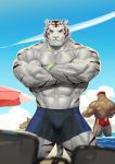  2018 abs absurd_res anthro beach biceps clothed clothing digital_media_(artwork) feline fur hi_res male mammal muscular muscular_male outside pecs piard909 seaside standing summer swimsuit topless white_fur 