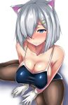  animal_ears black_legwear blue_eyes blue_swimsuit blush cat_ears commentary gloves hair_ornament hair_over_one_eye hairclip hamakaze_(kantai_collection) kantai_collection kemonomimi_mode looking_at_viewer pantyhose pantyhose_under_swimsuit shadow short_hair silver_hair simple_background swimsuit terakoya wavy_mouth white_gloves 