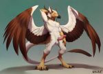  anthro avery_(ozawk) avian beak claws dragon egyptian_vulture erection feathered_wings feathers hybrid male nawka penis presenting solo wings 