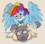  avian fan_character forced friendship_is_magic gryphon hair intersex marsminer mercury_shine my_little_pony rainbow_dash_(mlp) rape 