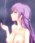  breasts commentary_request eeryuu_(2004107) fire_emblem fire_emblem:_fuuin_no_tsurugi highres large_breasts long_hair looking_up nipples nude purple_eyes purple_hair rain sofiya solo upper_body very_long_hair wet 