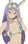  bikini_top closed_mouth commentary_request dark_skin donguri_suzume egyptian eyebrows_visible_through_hair facepaint facial_mark fate/grand_order fate_(series) hairband highres jackal_ears long_hair looking_at_viewer navel nitocris_(fate/grand_order) purple_eyes purple_hair reaching_out self_shot sidelocks simple_background smile stomach string_bikini swimsuit upper_body very_long_hair w white_background 