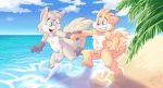  beach canine cub fox foxxie_softpaws male mammal miles_prower penis roarey_raccoon rodent seaside sonic_(series) squirrel water young 