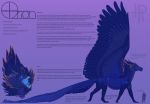  2018 belly_scales blue_eyes blue_feathers blue_skin claws digitigrade dragon english_text feathered_dragon feathers feral horn male model_sheet orion_(pheel) pheel scales simple_background teeth text tongue tongue_out wings 