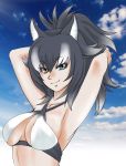  animal_ears armpits breasts cloud cloudy_sky collarbone day eyebrows_visible_through_hair grey_wolf_(kemono_friends) hand_in_hair heterochromia kemono_friends long_hair looking_at_viewer medium_breasts multicolored_hair outdoors ponytail saijouji_reika sky smile solo swimsuit two-tone_hair wolf_ears wolf_girl 