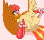  3_toes ambiguous_gender animal_genitalia avian beak better_version_at_source bird censor_bar claws cloaca disembodied_penis double_footjob feet foot_fetish footjob group group_sex male male/ambiguous nintendo penis pidgeotto pok&eacute;mon pok&eacute;mon_(species) sex talonjob talons tapering_penis toe_claws toes tya. video_games 