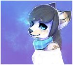  anthro canine clothed clothing female galaxymonster hair looking_at_viewer mammal scarf simple_background smile solo 