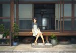  animal black_hair building dress original scenic short_hair summer summer_dress tree yoshida_seiji 