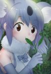  :t animal_ears bangs bare_shoulders black_hair bow bowtie brown_eyes commentary eating elbow_gloves eyebrows_visible_through_hair eyes_visible_through_hair fur_collar gloves grey_bow grey_gloves grey_hair grey_neckwear kemono_friends koala_(kemono_friends) koala_ears leaf looking_at_viewer medium_hair multicolored_hair nyifu solo twintails upper_body 