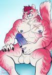  abs balls biceps big_penis candy.yeen erection feline fur leaking male mammal muscular nipple_piercing nipples nude overbite penis piercing pink_fur scar sitting solo tiger 