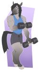  anthro clothed clothing equine exercise hair horse male mammal muscular muscular_male simple_background solo spazzyhusky standing sweat weightlifting workout 