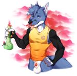  animal_genitalia anthro balls bong canine drugs fox invalid_tag looking_at_viewer male mammal navel penis sheath solo spazzyhusky tongue tongue_out 