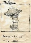  comic monochrome mushroom no_humans original silent_comic toi_(number8) traditional_media 