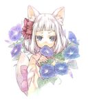  ameiro animal_ears bangs blue_eyes blunt_bangs child dew_drop face flower hair_ribbon hands japanese_clothes kimono morning_glory open_mouth original ribbon short_hair solo tail water_drop white_hair wolf_ears wolf_tail 