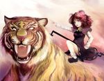  animal_ears brown_hair childofa dowsing_rod mouse_tail nazrin red_eyes short_hair solo tail tiger touhou 