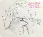  2016 canine group ichthy0stega japanese_text lagomorph mammal open_mouth rabbit text translation_request wolf 