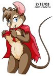  2003 blue_eyes brown_fur cape chip_n'death cloak female fur mammal mouse mrs_brisby plain_background red_clothing rodent secret_of_nimh solo the_secret_of_nimh white_background 