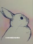  2015 ichthy0stega japanese_text lagomorph mammal rabbit simple_background solo text translation_request 
