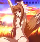  animal_ears armpits arms_up bad_id bad_pixiv_id breasts brown_hair convenient_censoring grin hair_censor hair_over_breasts holo jet_yowatari long_hair nude pink_eyes sky smile solo spice_and_wolf tail wolf_ears wolf_tail 