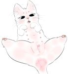 absurd_res anus bodily_fluids domestic_cat felid feline felis female feral formatdrive genital_fluids genitals hi_res looking_down lying mammal multi_nipple musk nipples on_back open_mouth pussy pussy_juice solo spread_legs spreading