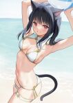  1girl animal_ears armpits ball beachball black_hair blush breasts cat_ears cat_tail highres holding long_hair looking_at_viewer mignon navel original red_eyes shiny_skin simple_background small_breasts smile solo stomach tail thighs twintails 