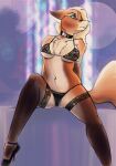 anthro belly big_breasts blonde_hair blue_eyes breasts canid canine champagne_(jeremy_bernal) clothing collar female footwear fox francisthefurry hair hi_res high_heels lace lingerie mammal model pose spread_legs spreading stripper