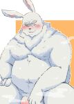 2023 anthro archery045 belly big_belly blush fur genitals hi_res kemono lagomorph leporid male mammal moobs navel overweight overweight_male penis rabbit scar shangri-la_frontier simple_background solo vorpal_rabbit vysache white_body white_fur