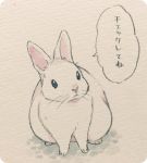  2016 ambiguous_gender ichthy0stega japanese_text lagomorph mammal rabbit simple_background solo text translation_request 