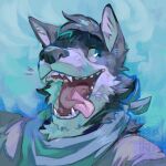 anthro babanasaur bandanna blue_body blue_eyes blue_fur canid canine canis clothed clothing colby_(husky) domestic_dog fur headshot_portrait hi_res husky kerchief male mammal nordic_sled_dog open_mouth portrait simple_background solo spitz teeth tongue tongue_out
