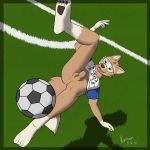  2018 anthro anus balls bicycle_kick butt canine digital_media_(artwork) eyewear fifa football_(disambiguation) goggles grass humanoid_penis kyonan male mammal mascot outside penis shaded smile soccer solo sport toony uncut wolf zabivaka 