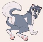  2018 all_fours anthro anus big_butt breasts bugparty butt canine dog female fur grey_fur hair husky looking_at_viewer mammal myra_(familiarsaint) pawpads pussy simple_background smile solo thick_thighs yellow_eyes 