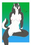 anthro belly bent_leg black_nose blue_eyes breasts canid canine canis cheek_tuft crossgender facial_tuft female fluffy fluffy_tail fur genitals green_body green_fur grey_body grey_fur hair hi_res inner_ear_fluff link_(wolf_form) long_hair looking_at_viewer mammal neon_lion nintendo nipples nude outline pink_nipples pose pussy shaded simple_background simple_shading sitting slim slim_anthro slim_female smile smiling_at_viewer solo tail tasteful_nudity the_legend_of_zelda tuft white_belly white_body white_fur white_outline wolf