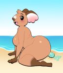 :3 absurd_res animal_crossing anthro beach big_breasts big_butt blush breasts butt dildo dildo_in_pussy dildo_insertion female hi_res huge_breasts kneeling koala looking_at_viewer lovetopullmicke mammal marsupial melba_(animal_crossing) nintendo nude open_mouth open_smile penetration sex_toy sex_toy_in_pussy sex_toy_insertion side_view smile solo vaginal vaginal_penetration vombatiform
