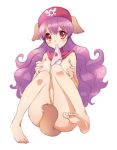  animal_ears blush bottomless breasts commentary_request covering_nipples curly_hair dog_ears dog_tail dragon_quest dragon_quest_ii hat hood hood_up kichijou_agata long_hair looking_at_viewer medium_breasts no_panties nude panties princess princess_of_moonbrook purple_hair solo tail underwear 